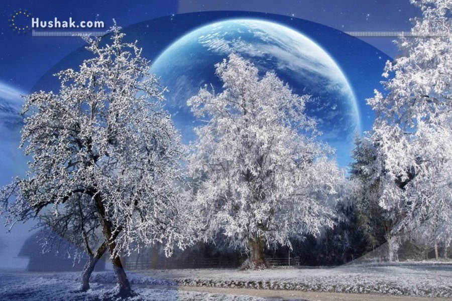 Гороскоп на месяц. Прогноз февраля