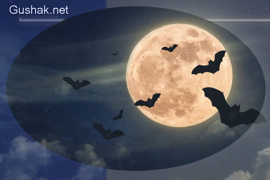 Лунно-солнечный прогноз на 3 апреля 2026 года