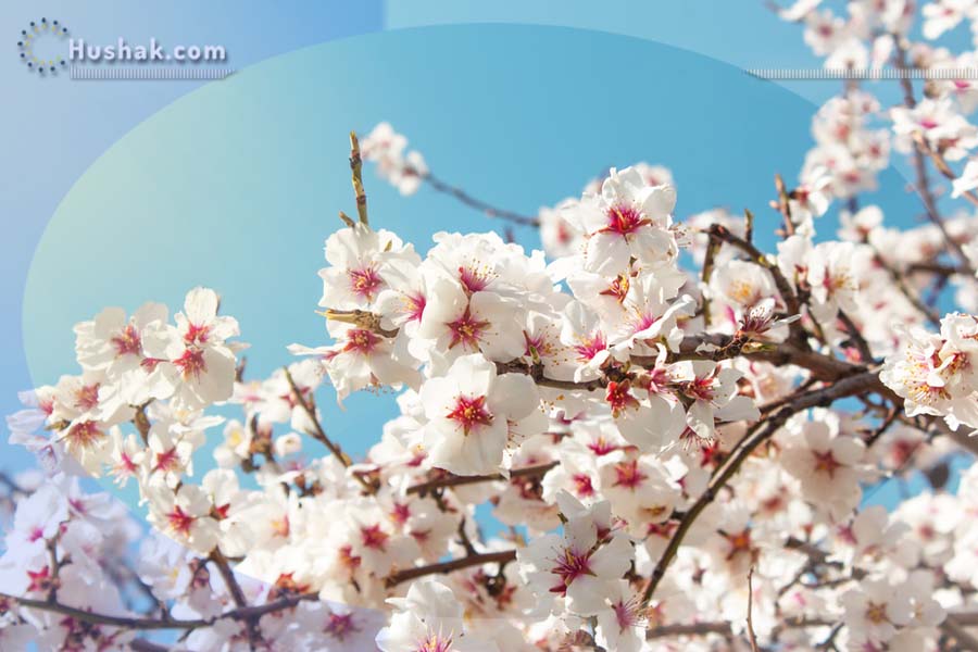 Гороскоп на месяц. Прогноз апреля