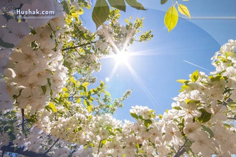 Гороскоп на сегодня. Прогноз на 1 мая