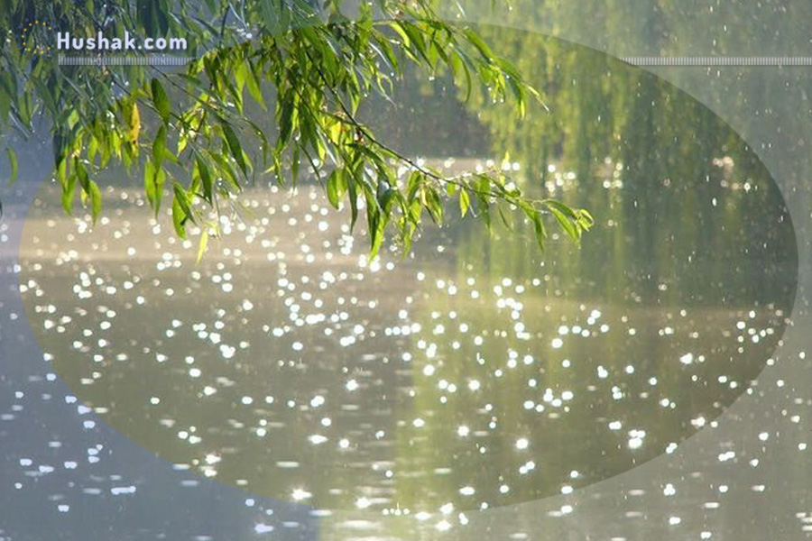 Гороскоп на месяц. Прогноз мая