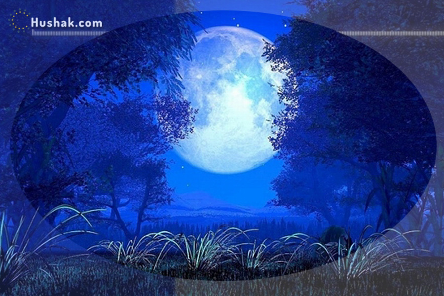 Лунно-солнечный прогноз на 25 мая