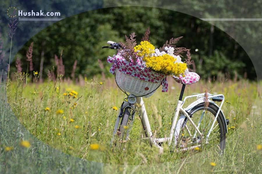 Гороскоп на месяц. Прогноз июля