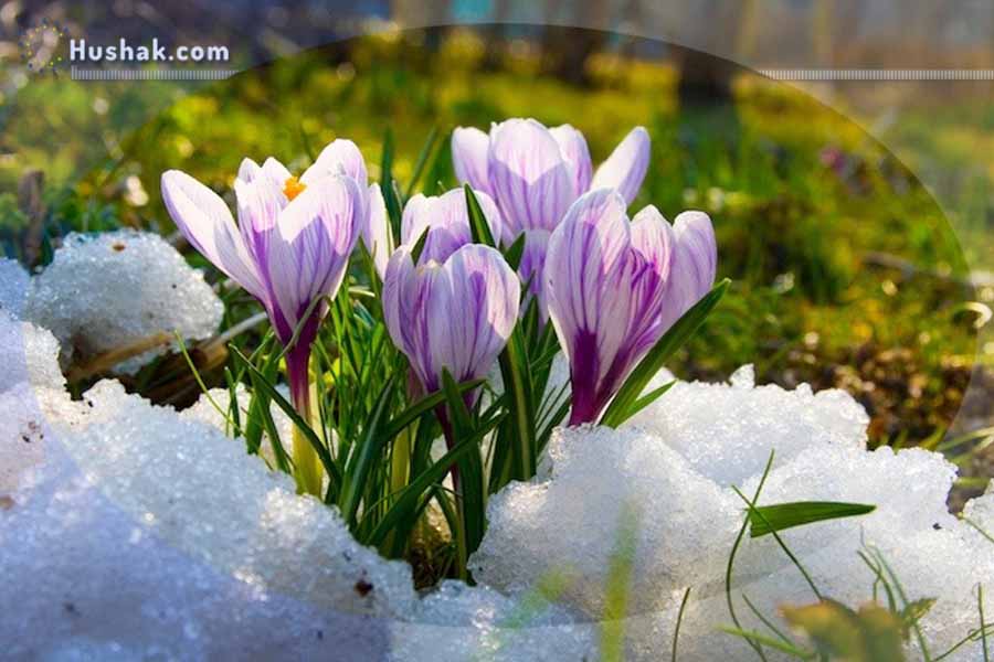 Մարտի աստղագուշակը