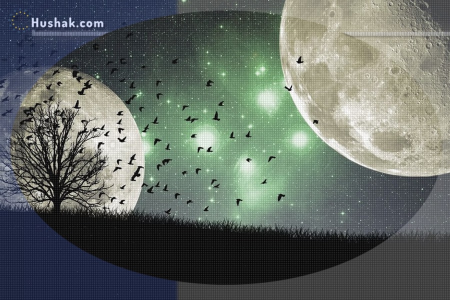 Փետրվարի 19-ի լուսնային-արևային աստղագուշակը