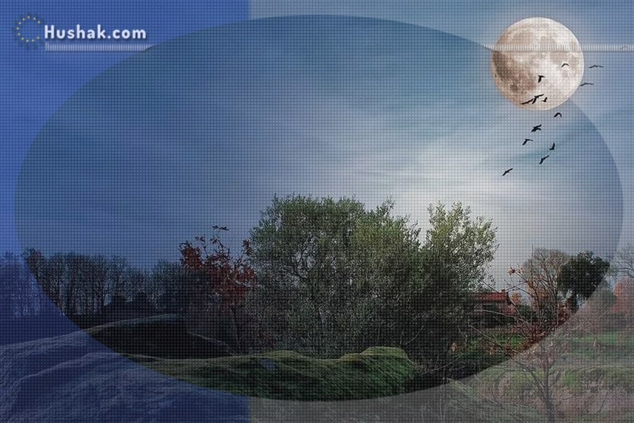 Փետրվարի 29-ի լուսնային-արևային աստղագուշակը