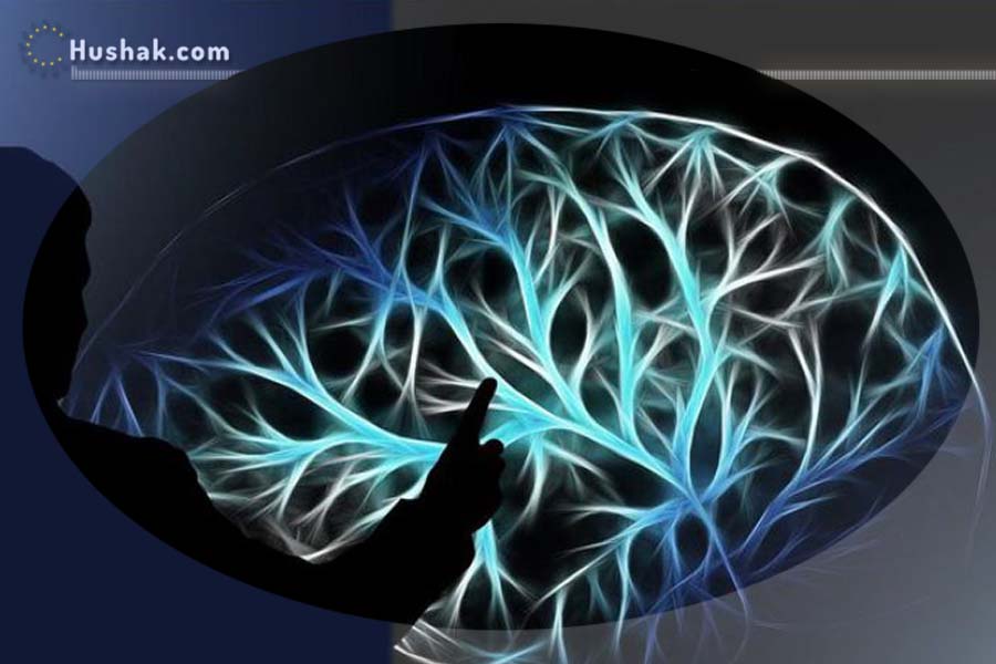 Աստղակերպի ո՞ր նշաններն են առանձնանում իրենց խելքով