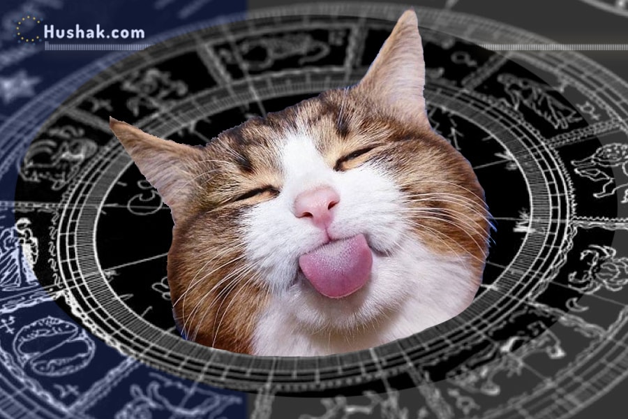 Բնավորության ամենավանող գծերն ըստ աստղակերպի նշանի