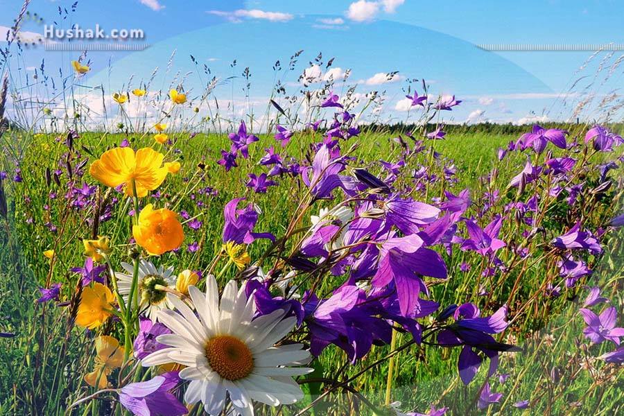 Շաբաթվա աստղագուշակ 20.07 - 26.07