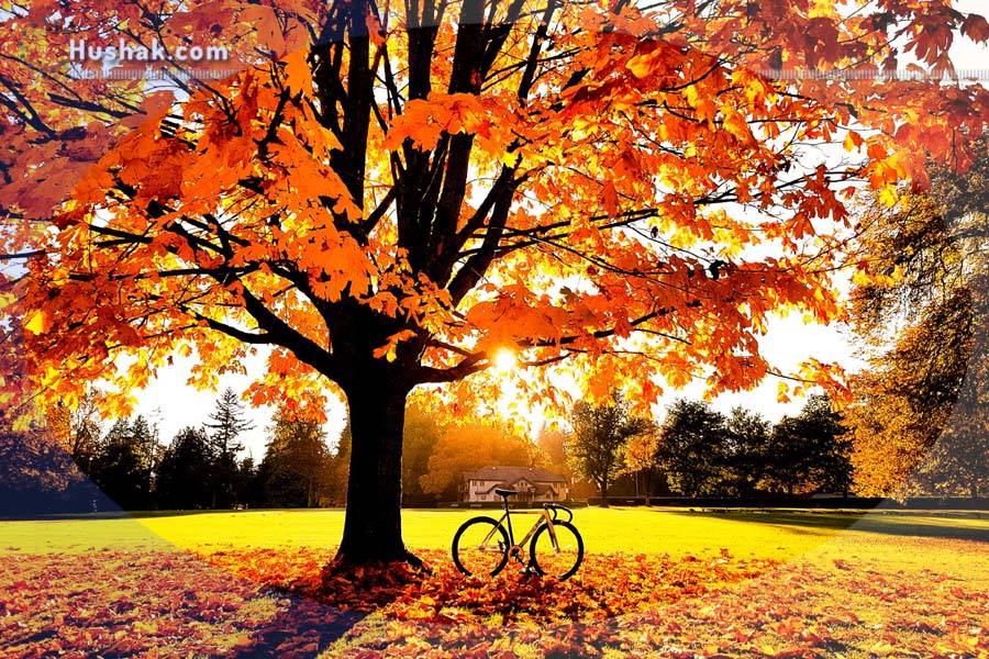 Հոկտեմբերի աստղագուշակը