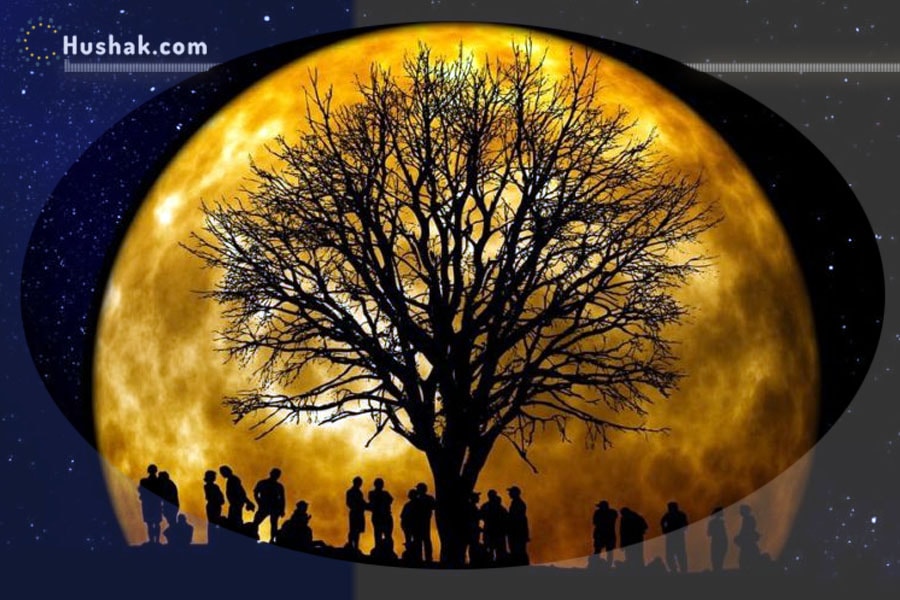 Մարդկանց էության մութ կողմերի հորոսկոպ