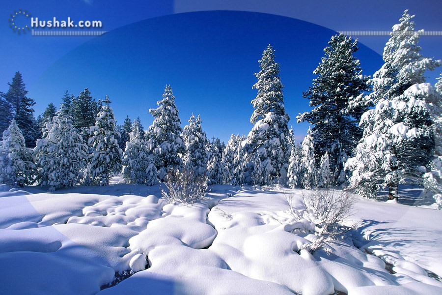 Փետրվարի աստղագուշակը