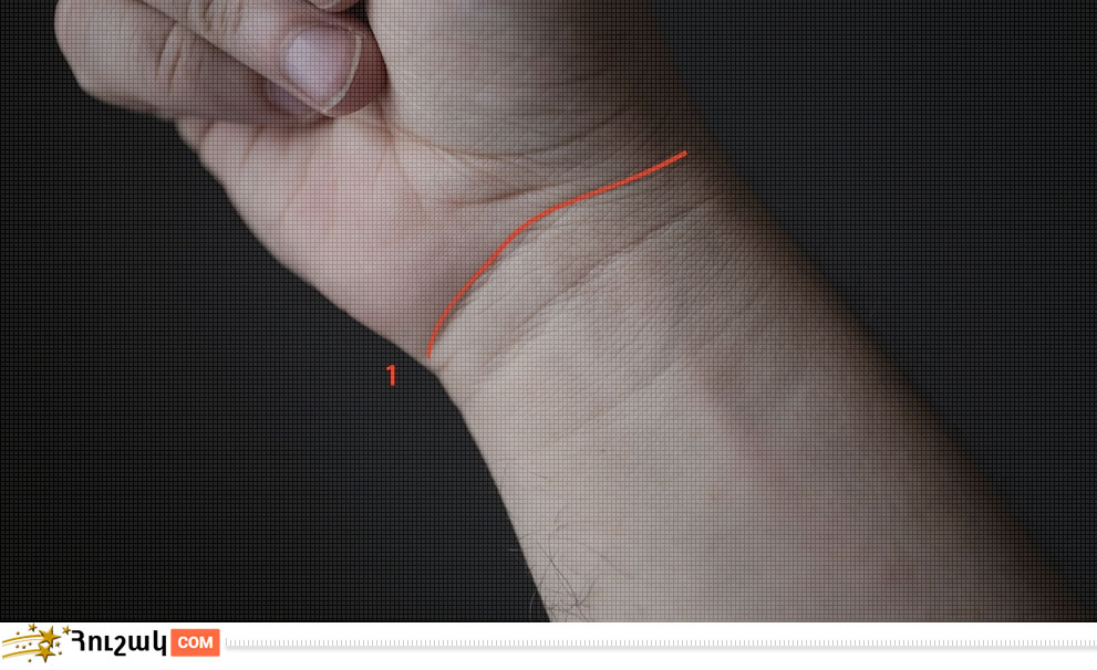 Գծեր դաստակին