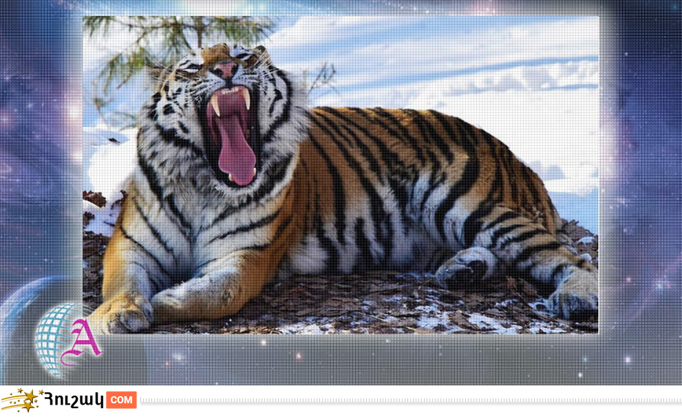 Վագրի բնութագիրը