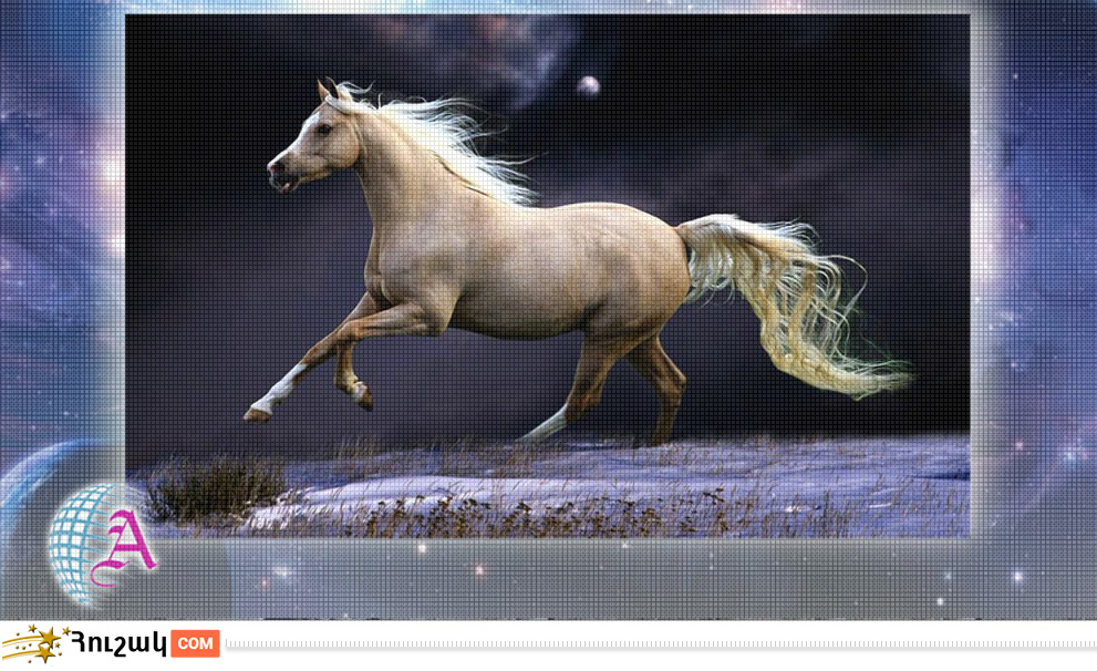 Ձիու բնութագիրը