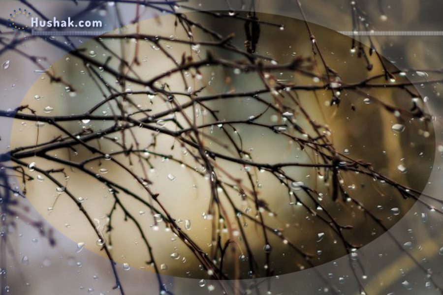 Շաբաթվա աստղագուշակ 15.03 - 21.03