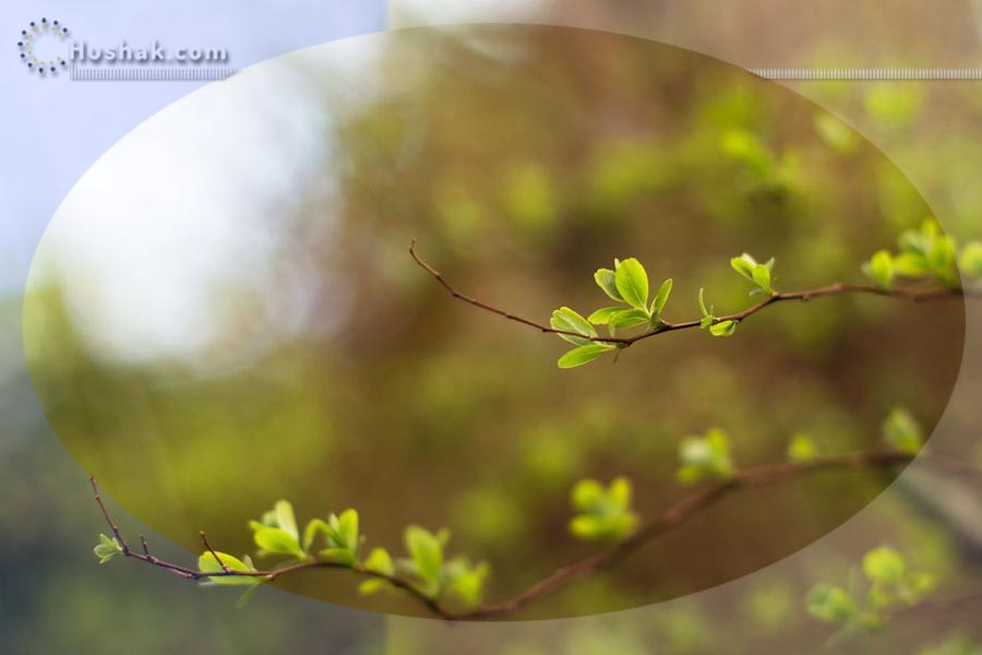 Շաբաթվա աստղագուշակ 08.03 - 14.03