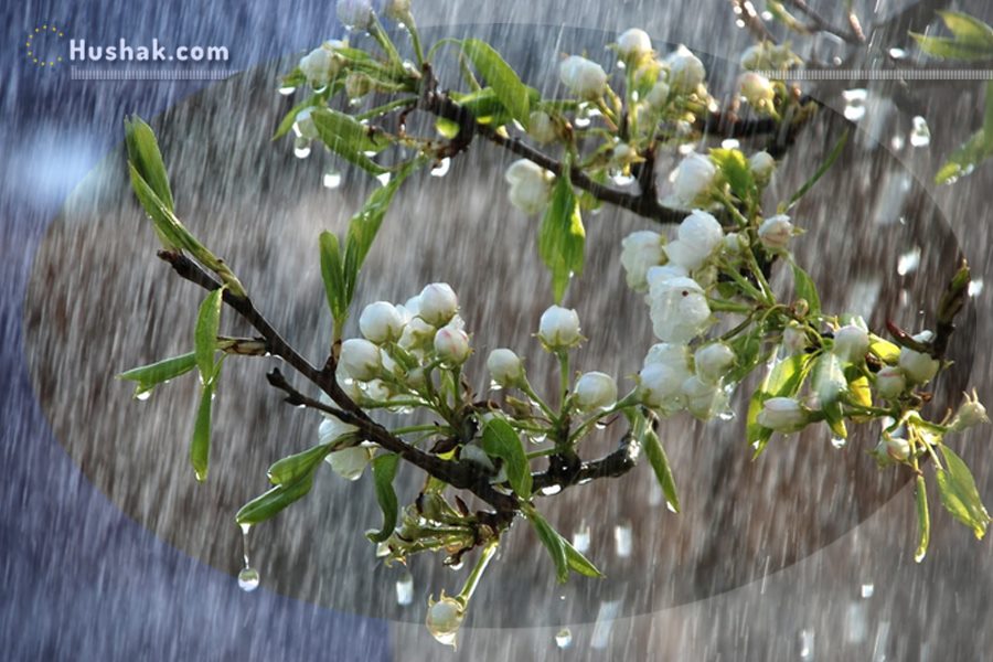 Շաբաթվա աստղագուշակ 26.04 - 02.05