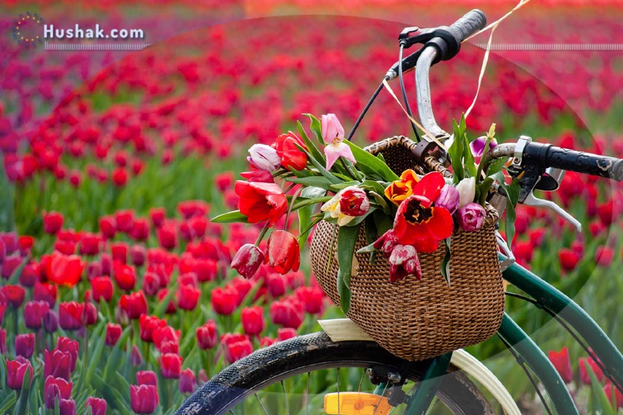 Մայիսի աստղագուշակը