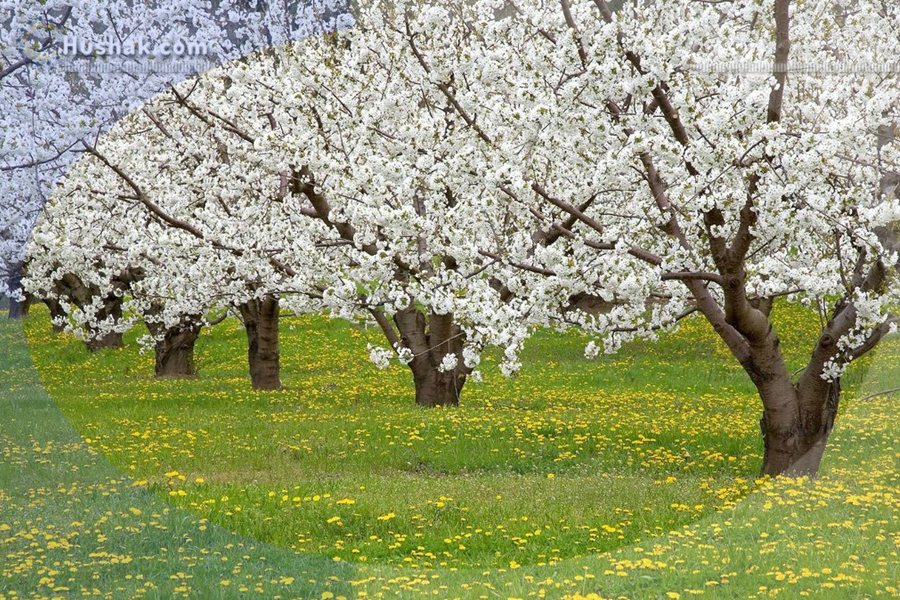 Շաբաթվա աստղագուշակ 12.04 - 18.04