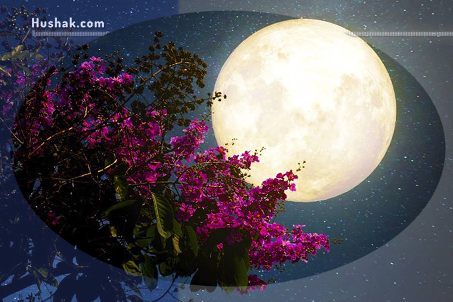 Հունիսի 25-ի լուսնային-արևային աստղագուշակ