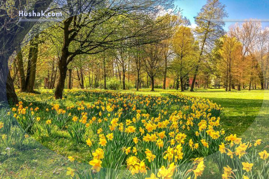 Հունիսի աստղագուշակը