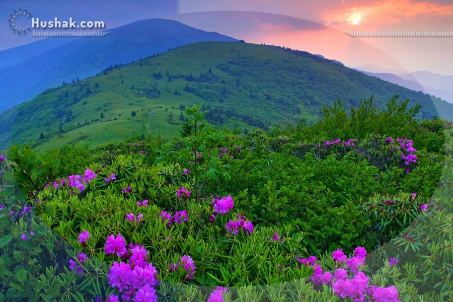 Շաբաթվա աստղագուշակ 28.06 - 04.07