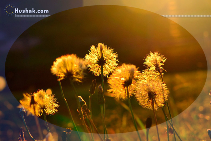 Շաբաթվա աստղագուշակ 05.07 - 11.07