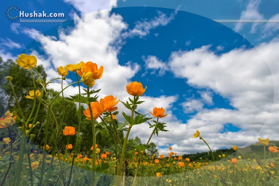 Շաբաթվա աստղագուշակ 26.07 - 01.08