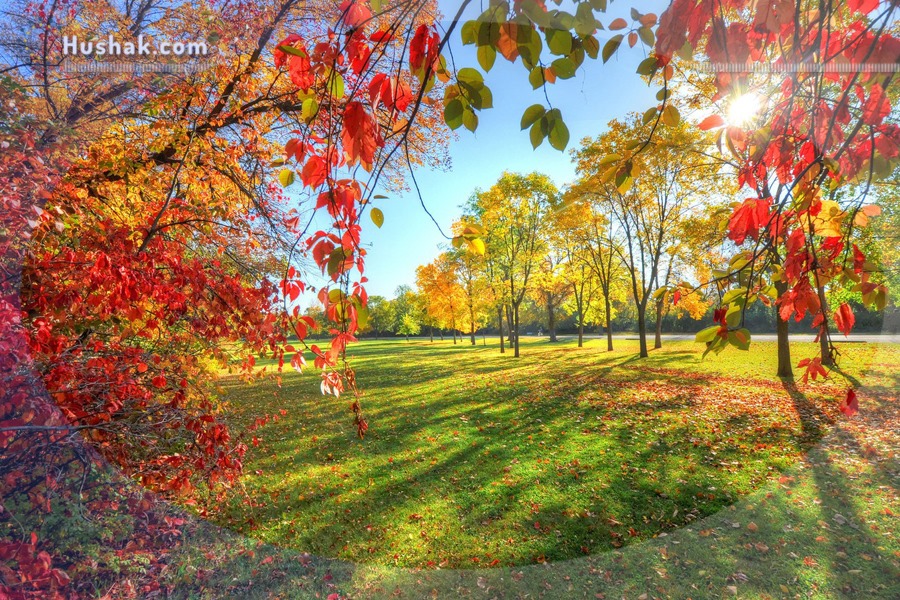 Սեպտեմբերի աստղագուշակը