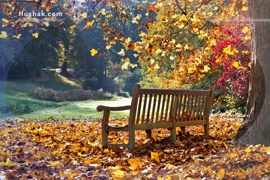 Շաբաթվա աստղագուշակ 25.10 - 31.10