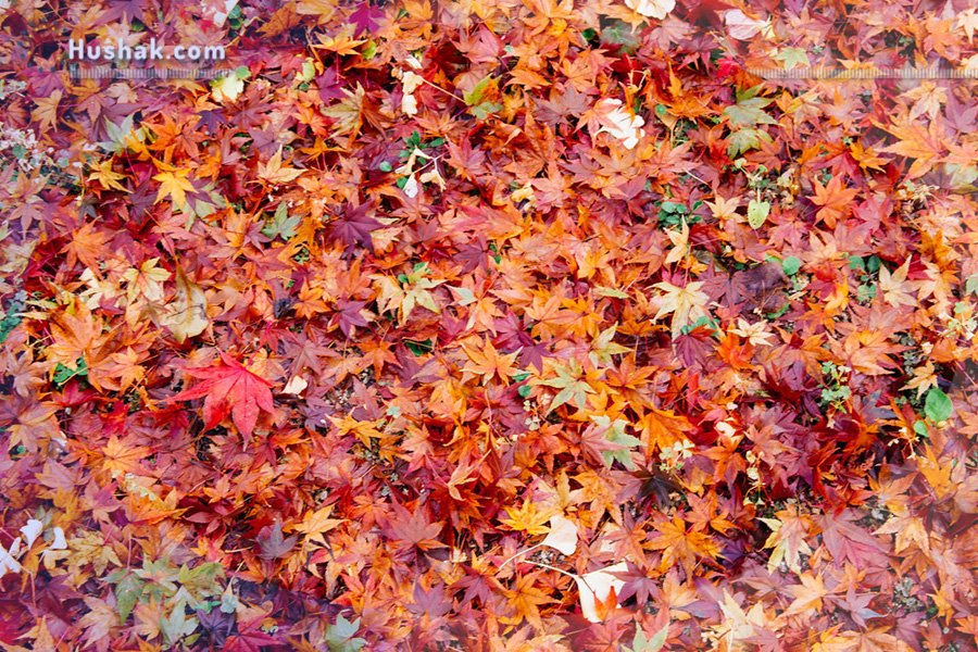 Շաբաթվա աստղագուշակ 11.10 - 17.10