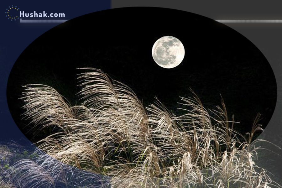 Դեկտեմբերի 2-ի լուսնային-արևային աստղագուշակ