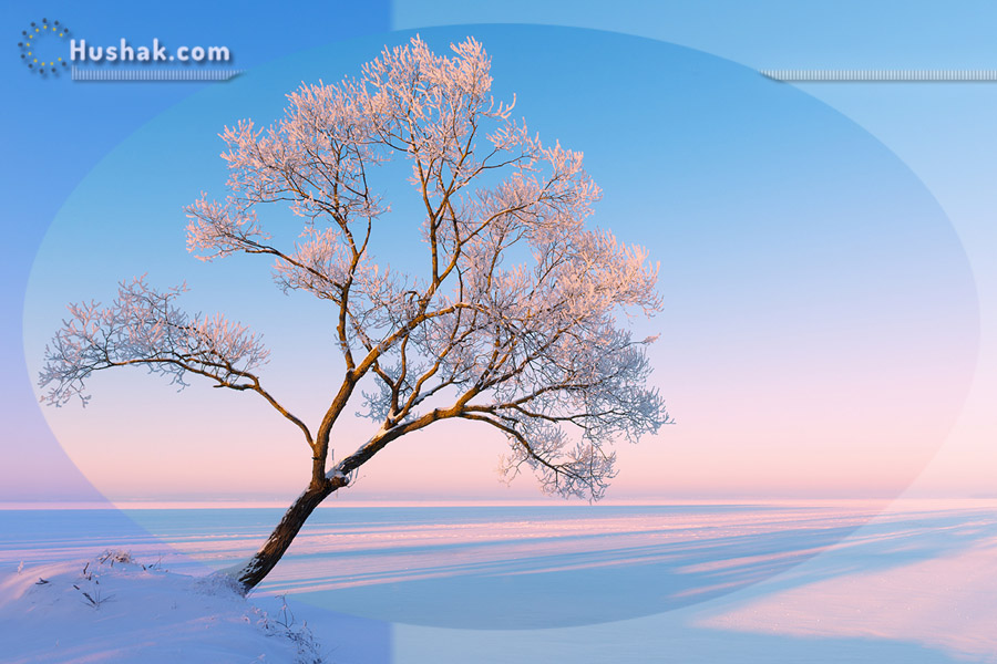 2022 թվականի փետրվարի աստղագուշակը