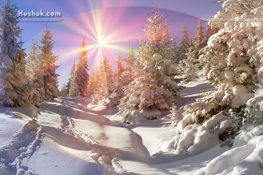 Շաբաթվա աստղագուշակ 03.01 - 09.01