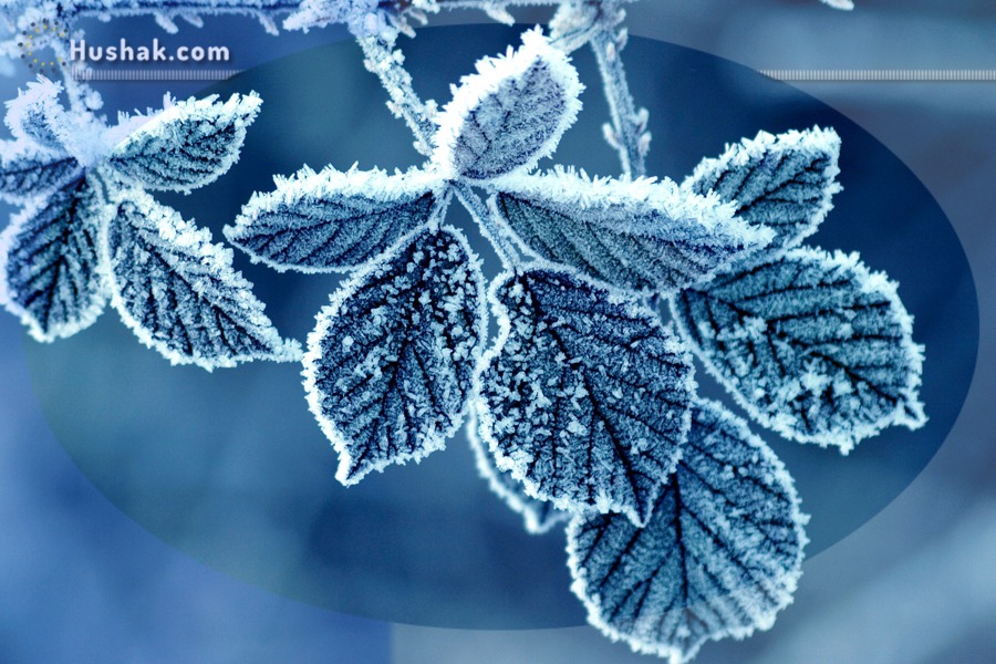 Շաբաթվա աստղագուշակ 27.12 - 02.01