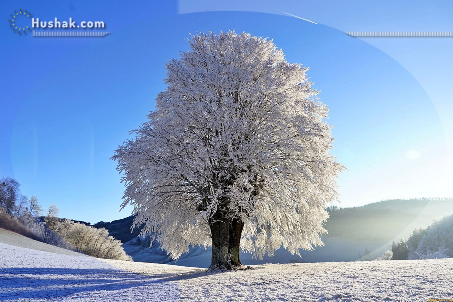 Շաբաթվա աստղագուշակ 21.02 - 27.02