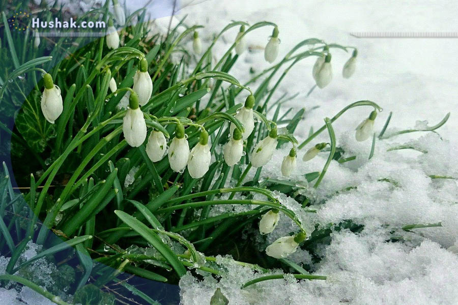 2022 թվականի մարտի աստղագուշակը