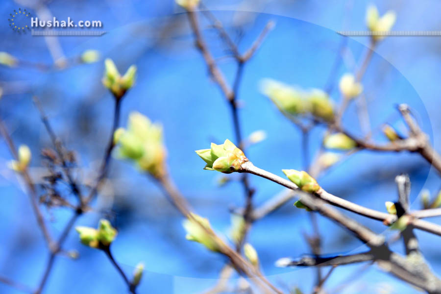 Շաբաթվա աստղագուշակ 28.03 - 03.04