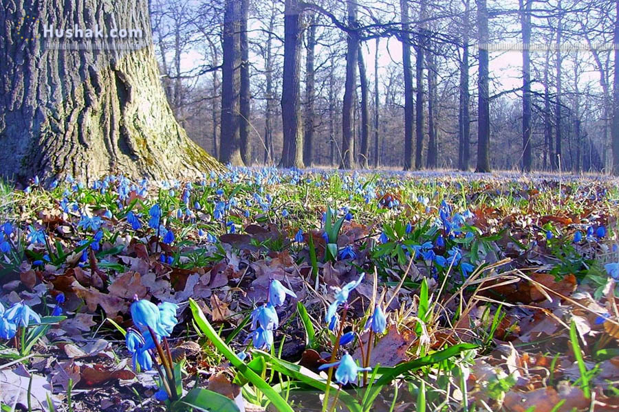 Շաբաթվա աստղագուշակ 25.04 - 01.05