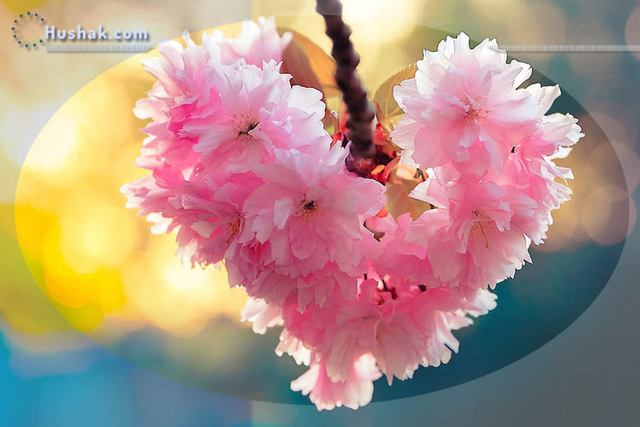 Շաբաթվա աստղագուշակ 09.05 - 15.05