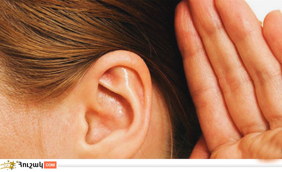Ականջների դիրքն ու բնավորությունը