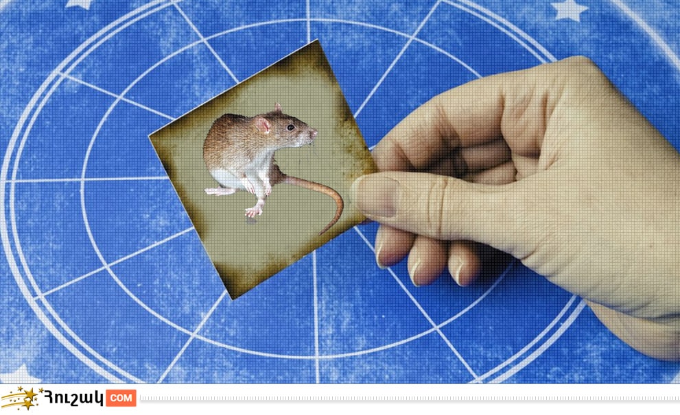 Կարմա և հորոսկոպ. առնետ