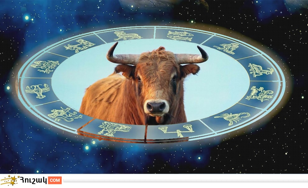 Ցուլի համատեղելիությունը