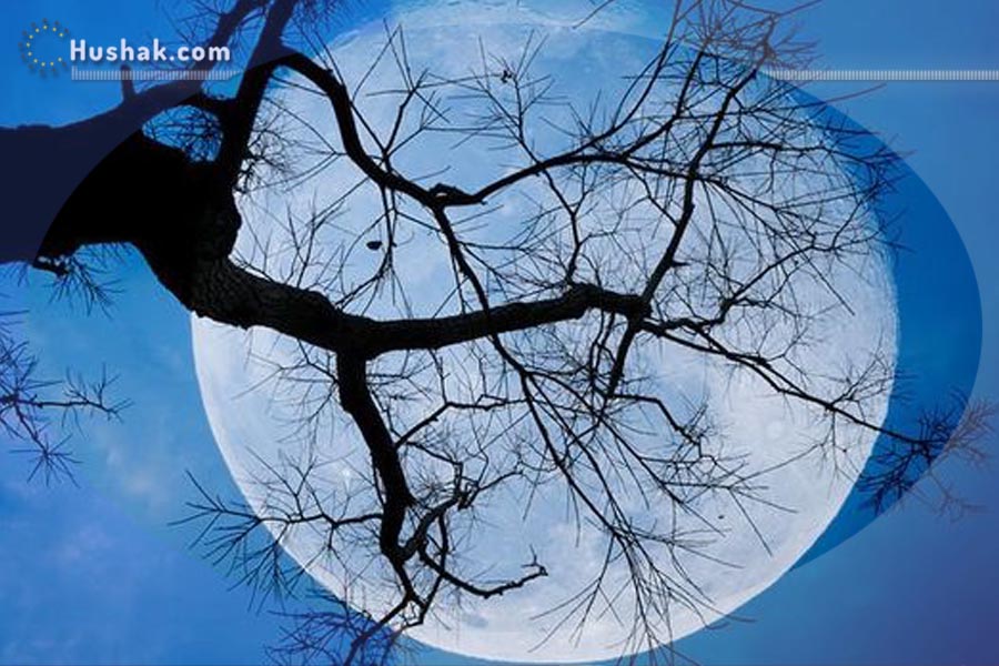 2022 թվականի մայիսի 16-ի լուսնային-արևային աստղագուշակ