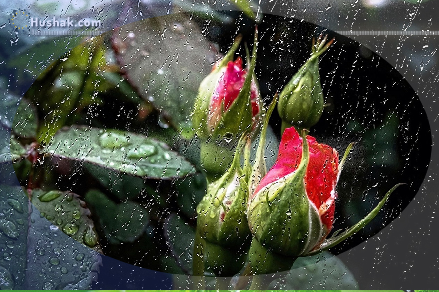 Շաբաթվա աստղագուշակ 30.05 - 05.06