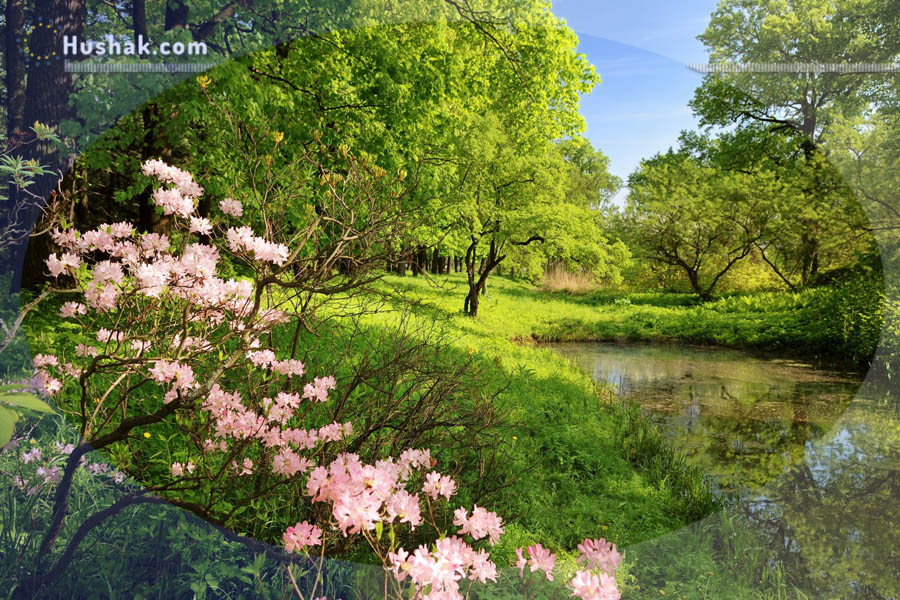 Շաբաթվա աստղագուշակ 06.06 - 12.06