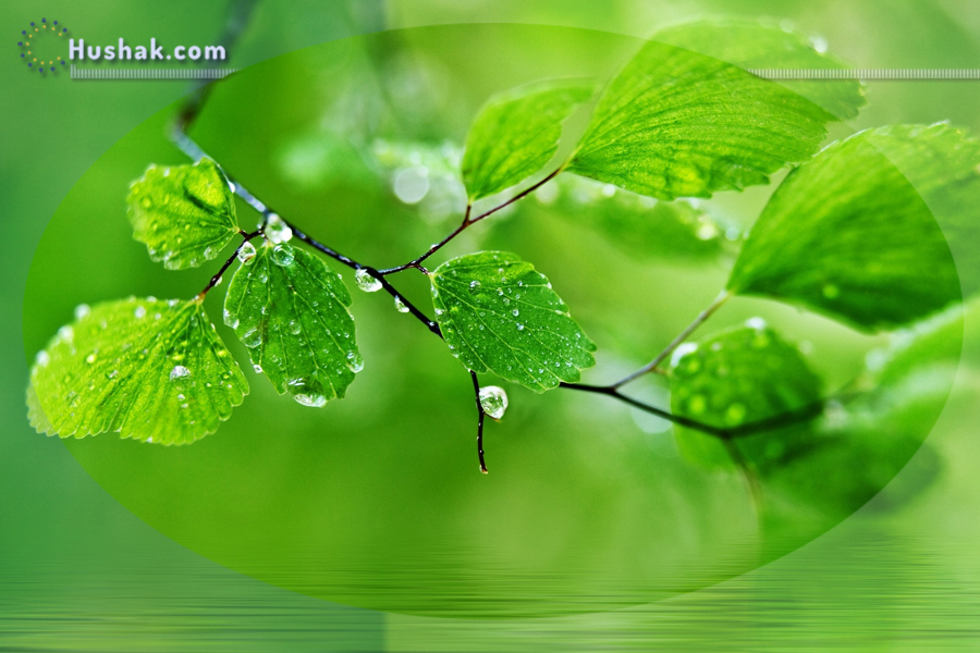 Շաբաթվա աստղագուշակ 27.06 - 03.07