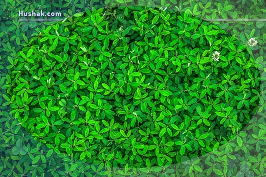 Շաբաթվա աստղագուշակ 01.08 - 07.08