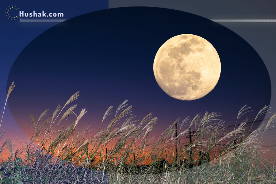 2022 թվականի հուլիսի 6-ի լուսնային-արևային աստղագուշակ